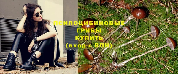 стаф Абдулино