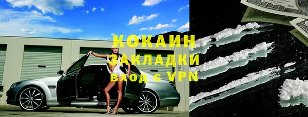 винт Алзамай