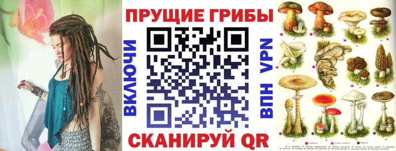 купить наркотик Болхов Псилоцибиновые грибы Magic Shrooms